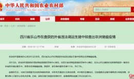 乐山市新闻爆料电话查询,倾听民声，守护城市和谐